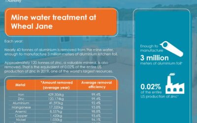 Mine water treatment at Wheal Jane